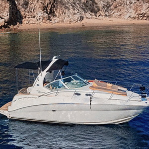 The Mexican Deep Sea Sport Fishing Experience - Image 2